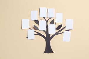 jean graugnard Genealogy Brick Walls_ What to Do When Records Are Gone